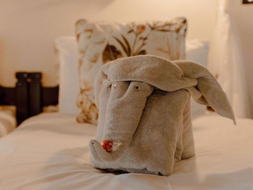 Nyala Safari Lodge Hoedspruit Esterno foto