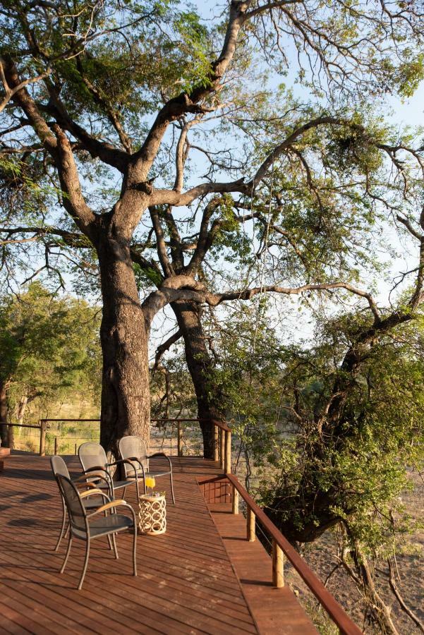 Nyala Safari Lodge Hoedspruit Esterno foto